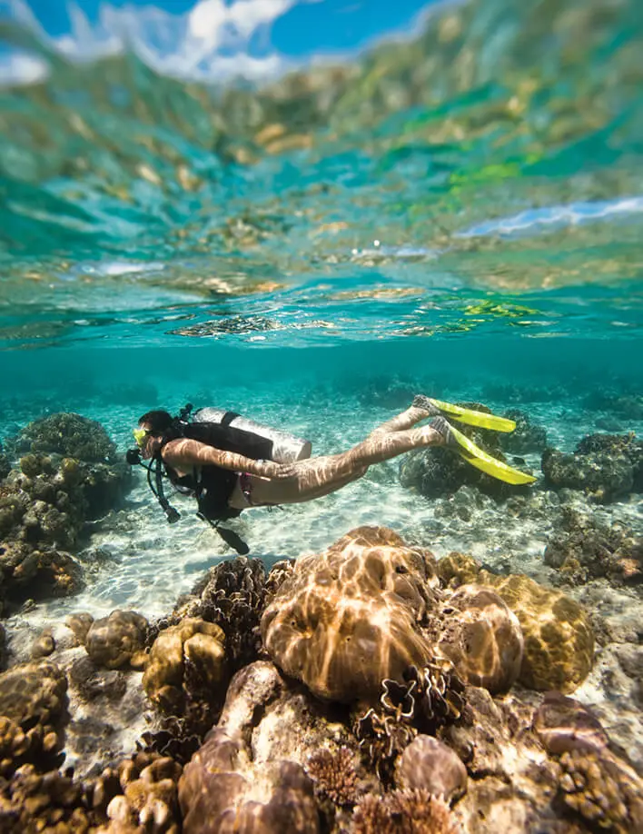 North Diving Mauritius Grand Bai 