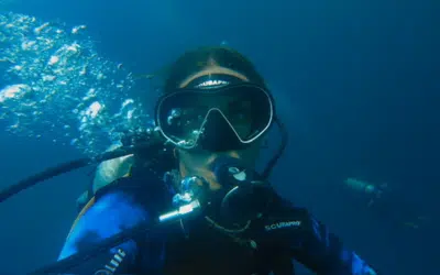 Combining Passion with Purpose: Becoming A Shark Diver and A PADI Divemaster